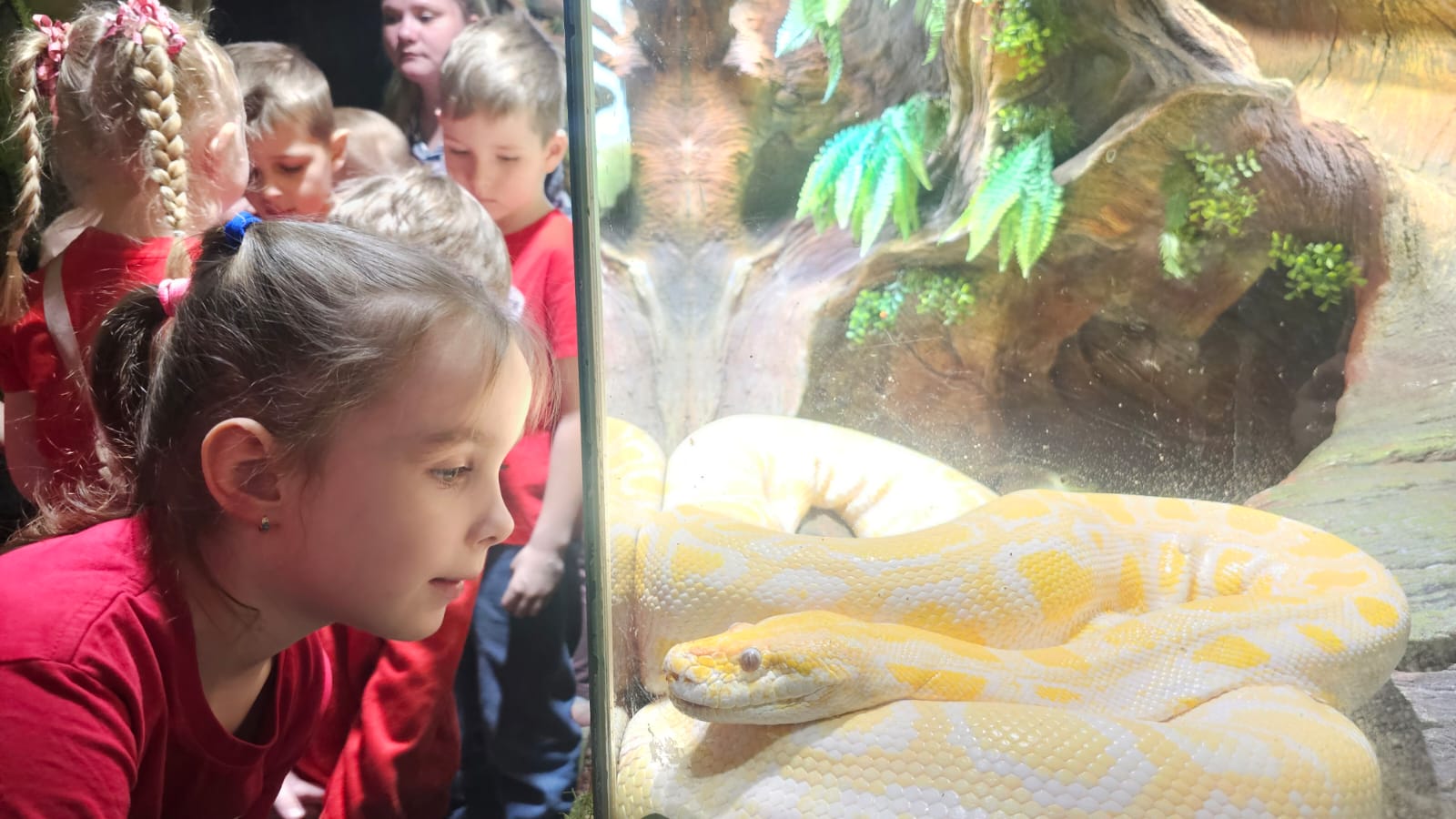 Pirmsskolnieki Latgales zoodārzā