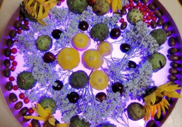 Rudenīgās mandalas no dabas materiāla
