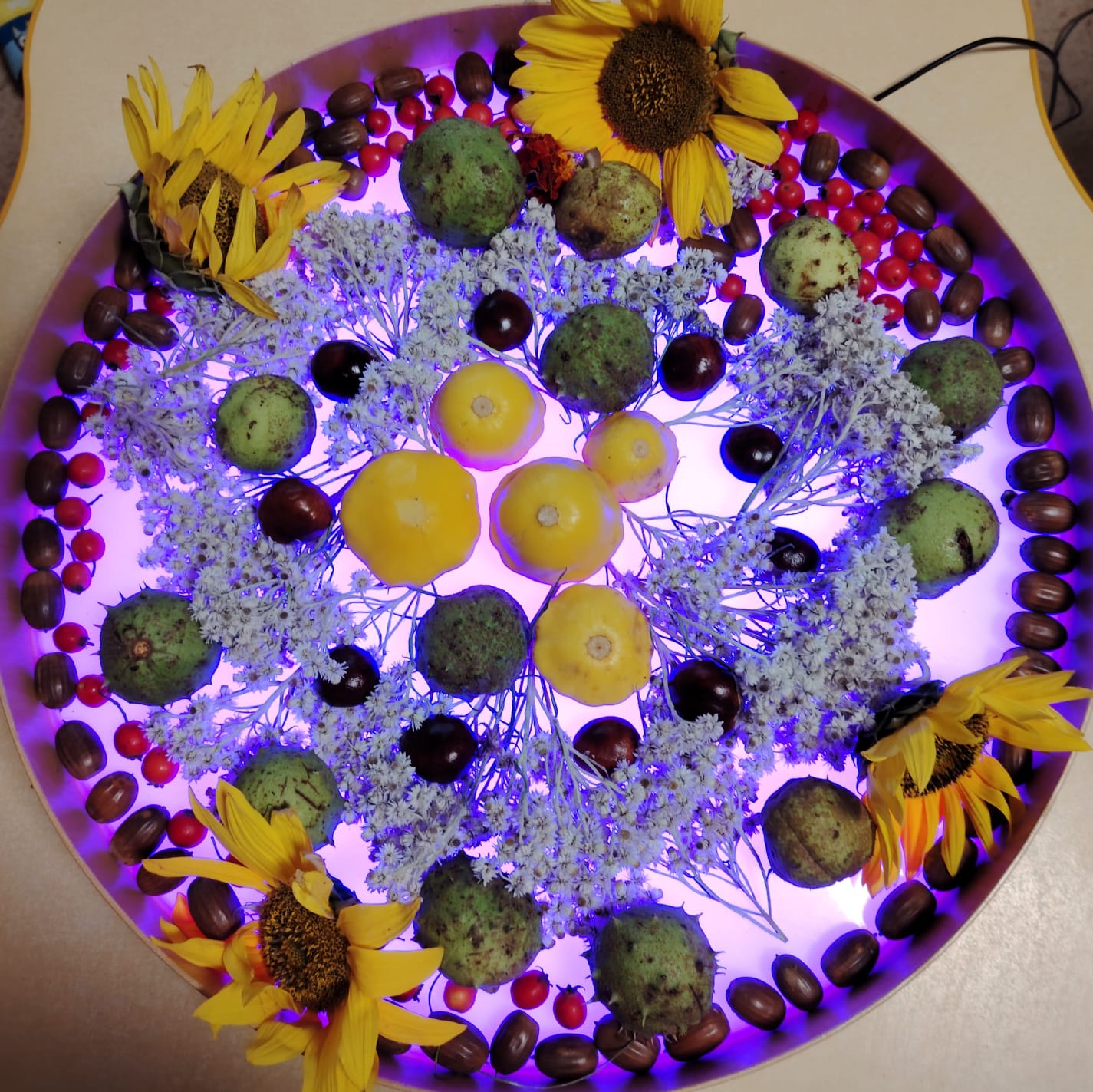 Rudenīgās mandalas no dabas materiāla