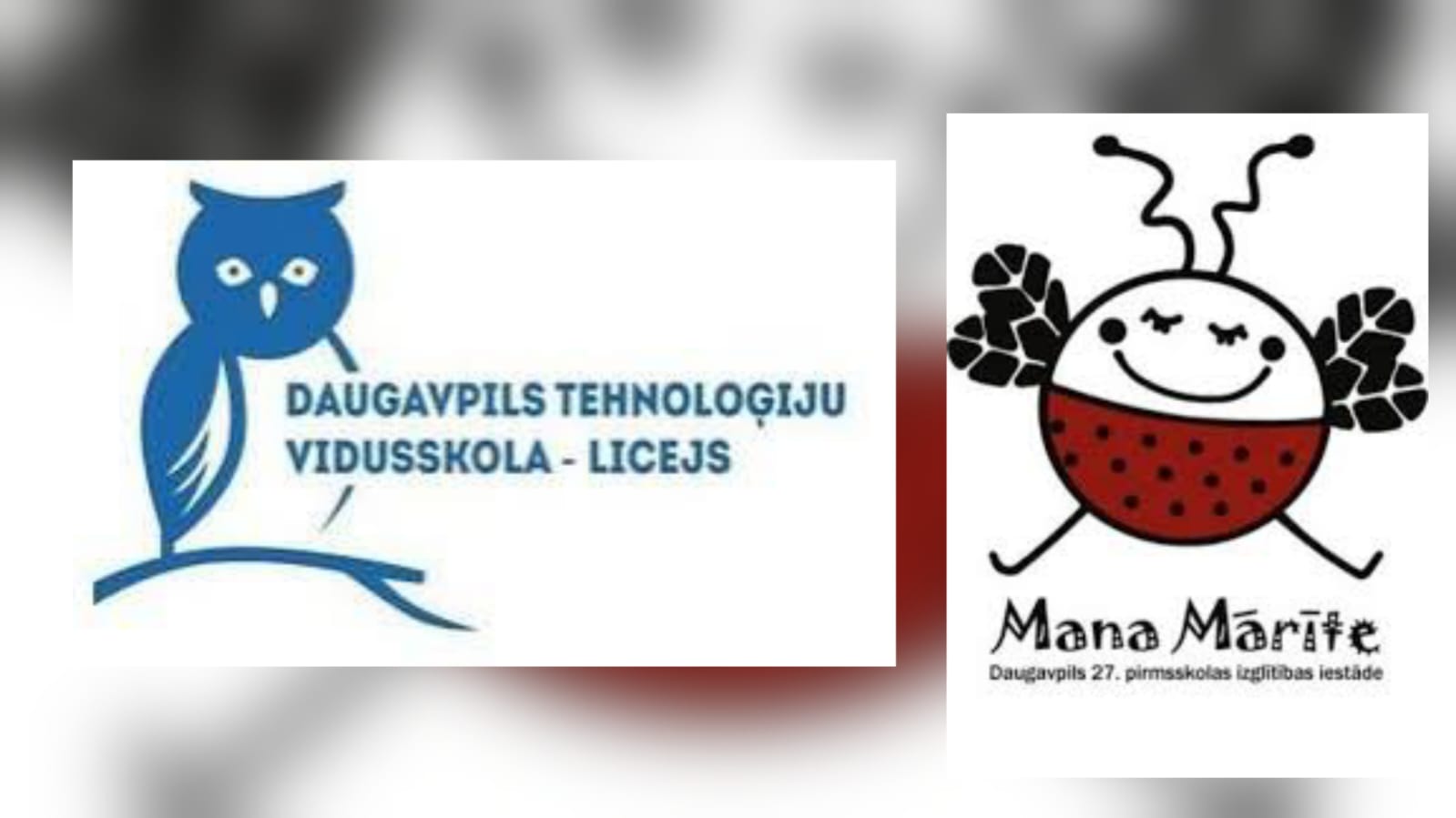 Profesionālās sarunas ar Daugavpils Tehnoloģiju vidusskolas -liceja pedagogiem