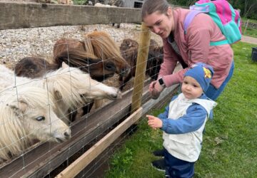 Neaizmirstamais piedzīvojums mini zoodārzā “Jurita”