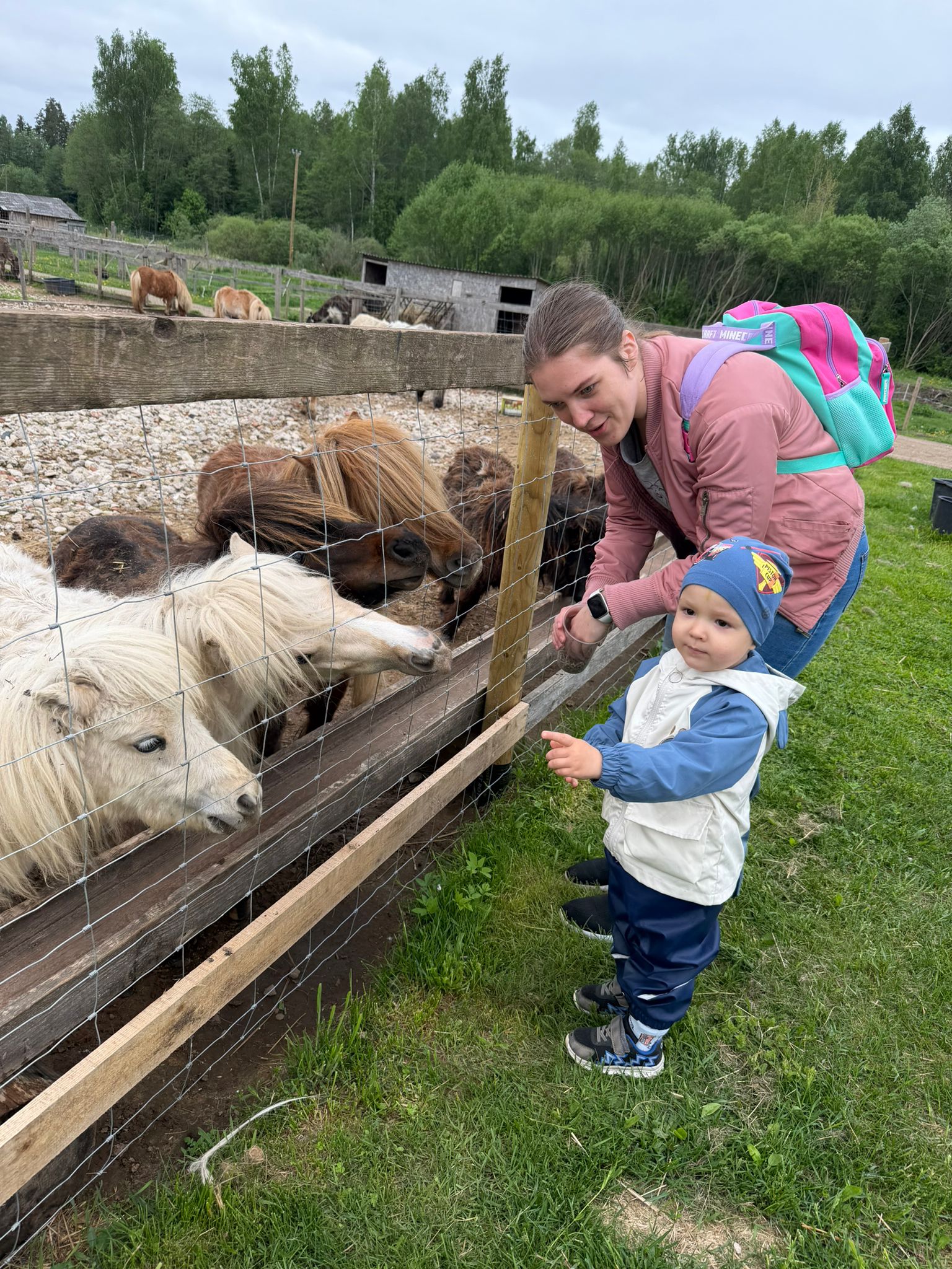 Neaizmirstamais piedzīvojums mini zoodārzā “Jurita”