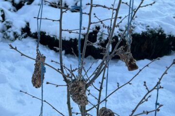 Gardumi spārnotājiem draugiem 5