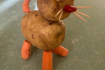 Bērnu un vecāku radošo darbu izstāde “Dārzeņu pārvertības” 27