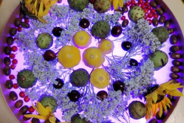 Rudens paklājs 2025 43