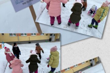 Pavingro ar sniegavīru 6