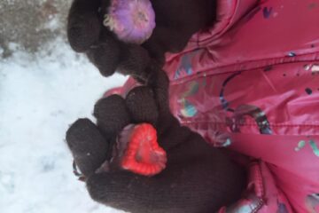 Sniega un ledus noslēpumi mazuļiem 28