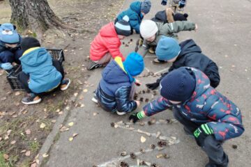 Mārtiņdienas jampadracis 2025 26