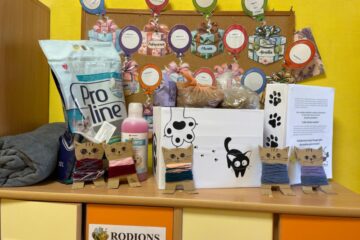 Labo darbu nedēļa 2025 16