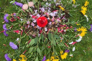 Rudens paklājs 2025 59