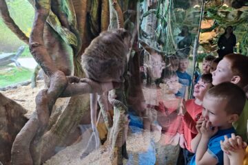 Latgales zoodārza brīnumaina pasaule 107
