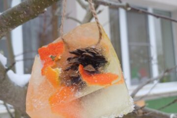 Gardumi spārnotājiem draugiem 38