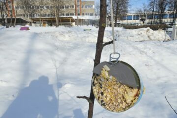 Atklātā nodarbība „Putnu nometnieku palīgi!” 9.grupa “Vardulēns” 48