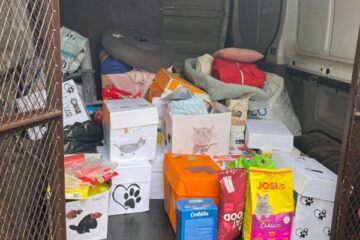 Labo darbu nedēļa 2025 23