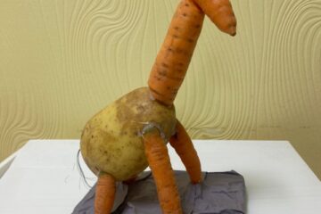 Bērnu un vecāku radošo darbu izstāde “Dārzeņu pārvertības” 26