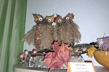 Bērnu un vecāku radošo darbu izstāde “Dārzeņu pārvertības” 38