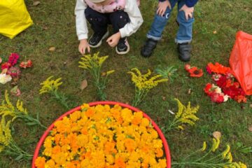 Rudens paklājs 2025 35