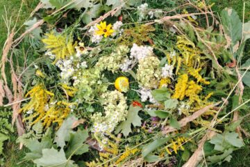 Rudens paklājs 2025 83