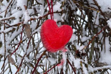 Draudzības diena 2026 30