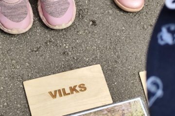 Cūkmena vizīte pirmsskolā 8