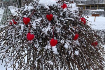 Draudzības diena 2026 19