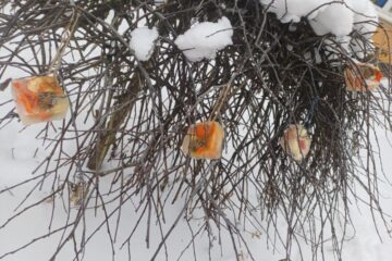 Gardumi spārnotājiem draugiem 35