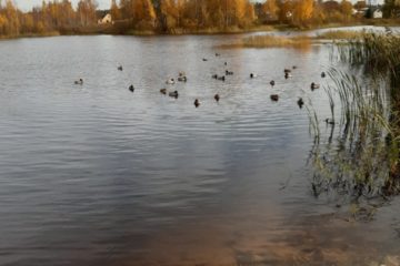 Mācību eksursijas uz Gubiščes ezeru un Aizpilsētas parku 7. un 10.grupas 7