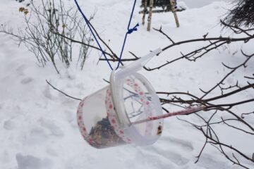 Gardumi spārnotājiem draugiem 44