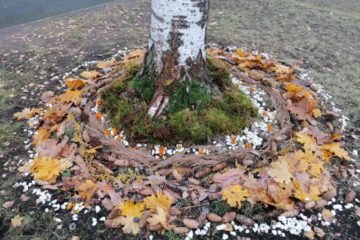 Rudens mandalas