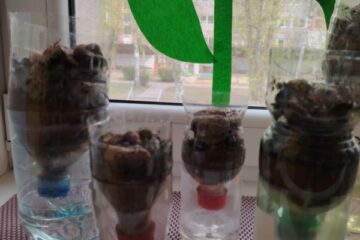 eTwinning projekts Future Steamers “Ūdens filtrēšana” 27