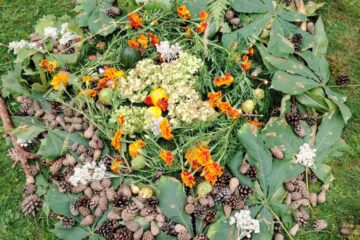 Rudens paklājs 2025 75