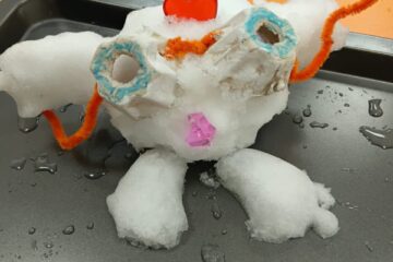 Sniega un ledus noslēpumi mazuļiem 24