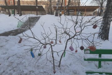 Sniega un ledus noslēpumi mazuļiem 32