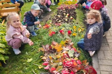 Rudens krāsu paklājs 18