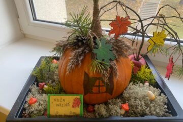 Bērnu un vecāku radošo darbu izstāde “Dārzeņu pārvertības” 34