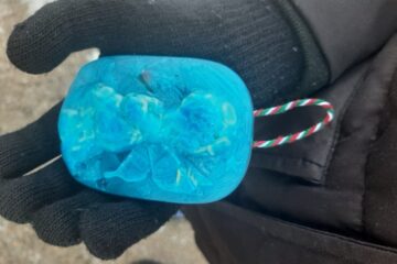 Sniega un ledus noslēpumi mazuļiem 29