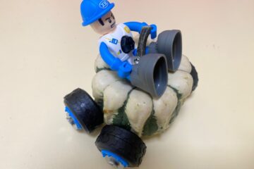 Bērnu un vecāku radošo darbu izstāde “Dārzeņu pārvertības” 22