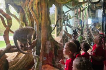 Latgales zoodārza brīnumaina pasaule 85