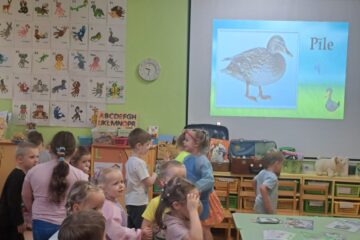 Atklātā nodarbība “Lauku sētas mājdzīvnieki un mājputni” 11.grupa “Saules zaķītis” 11