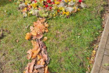 Rudens paklājs 2025 17