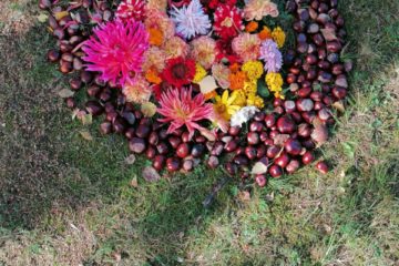 Rudens mandalas 21