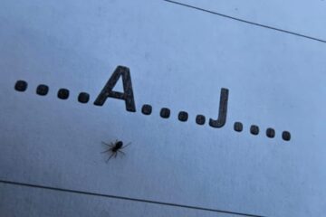 Eiropas Sporta nedēļa 2026 #BEACTIVE. Pārgājiens uz Aizpilsētas parku un meža ekspedīcija 2