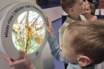 Projekta “STEM un pilsoniskā līdzdalība” norise “Magnēti” 23