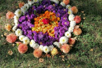 Rudens mandalas 20