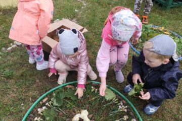 Rudens paklājs 2025 27