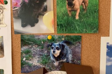 Labo darbu nedēļa 2025 15