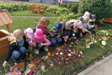 Rudens krāsu paklājs 15