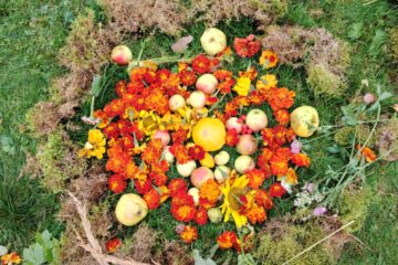 Rudens paklājs 2025 79