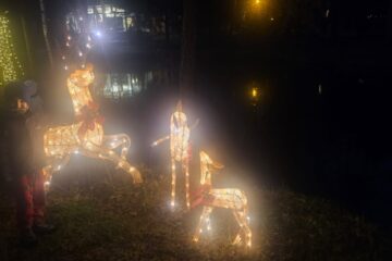 Piparkūku meistarklase Silenē 2025 3