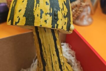 Bērnu un vecāku radošo darbu izstāde “Dārzeņu pārvertības” 24